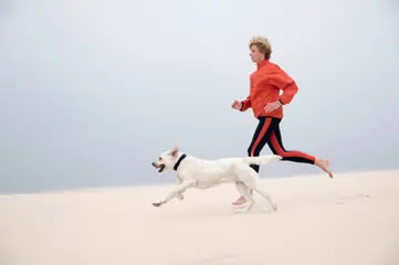 17 Paw-fect Dogs for Runners